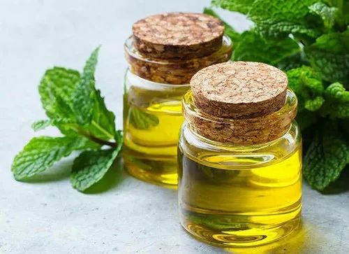 Yellow Liquid Karpooravalli Leaf Essential Oil, for Medicine Use, Aromatherapy, Purity : 99.9%