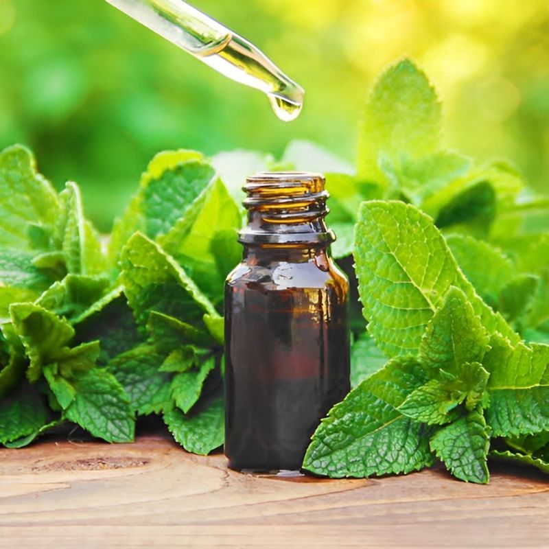 Peppermint Leaf Essential Oil, Packaging Type : Glass Bottle