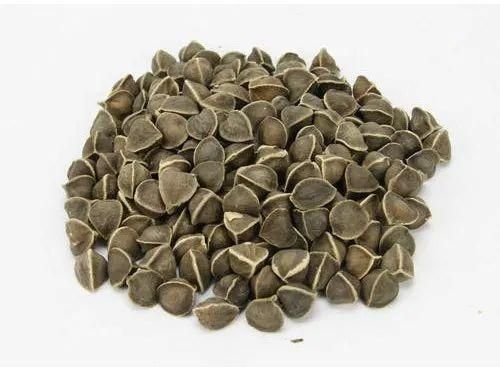 Moringa Seeds