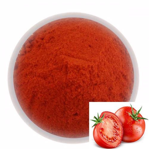 Spray Dried Tomato Powder, Packaging Size : 20 kg