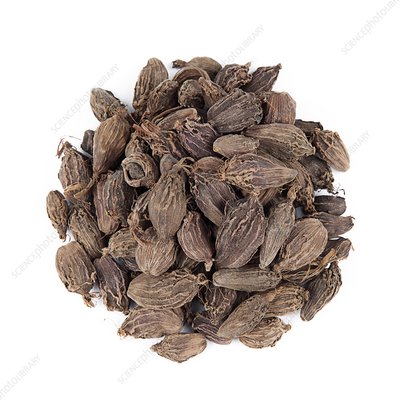 Pods Black Cardamom Seed, for Used in pickles sauces, Style : Dried