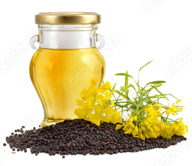 Machine mustard oil, Packaging Size : 1ltr