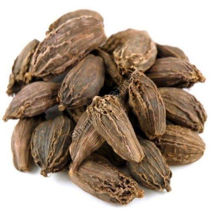 Pods Black Cardamom, for Cooking, Packaging Type : Plastic Packet