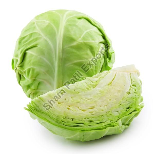 Green Fresh Cabbage, for Cooking, Shelf Life : 10 Days