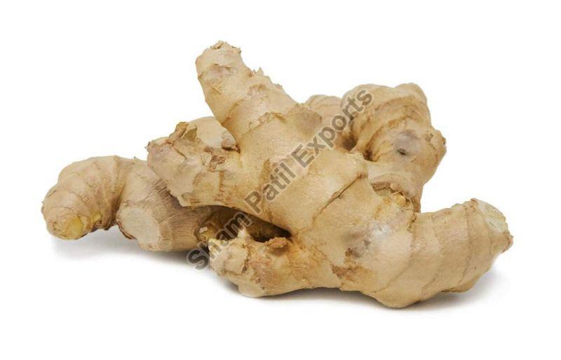 Brown Whole Fresh Ginger, for Cooking, Quality Available : A Grade