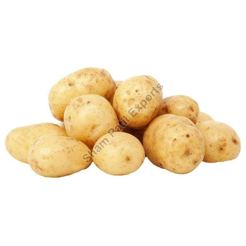 Organic fresh potato, Packaging Type : Gunny Bag