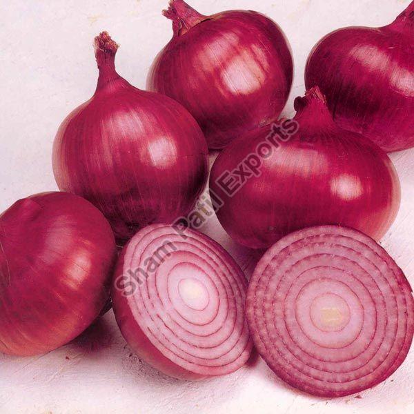 Fresh Red Onion, for Cooking, Quality Available : A Grade