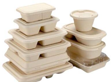 Sugarcane Bagasse Disposable Food Container