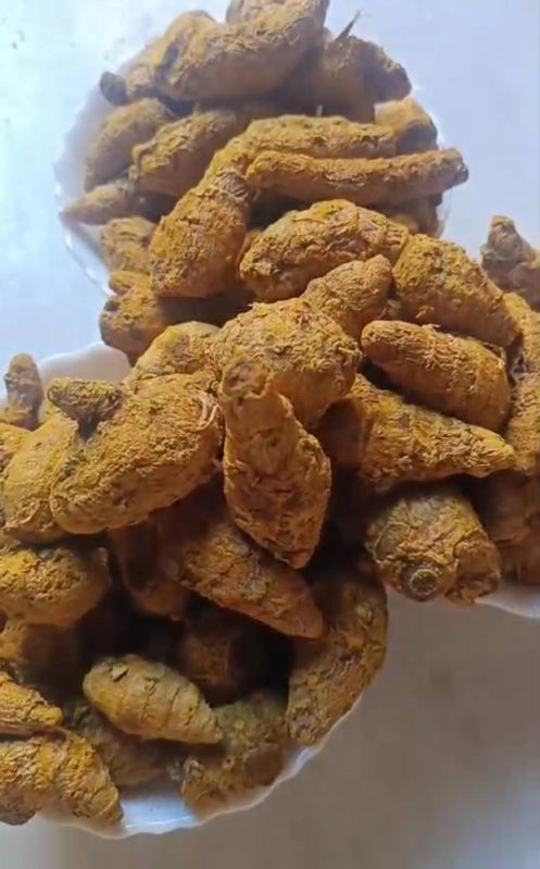 Whole Raw Turmeric Finger, for Cooking, Herbal Medicines, Shelf Life : 6 Month