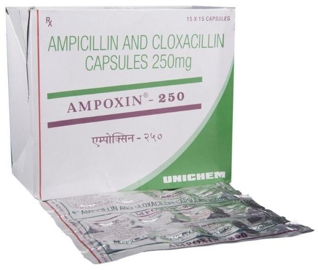 Ampoxin Capsules 250 Mg, Packaging Type : Box