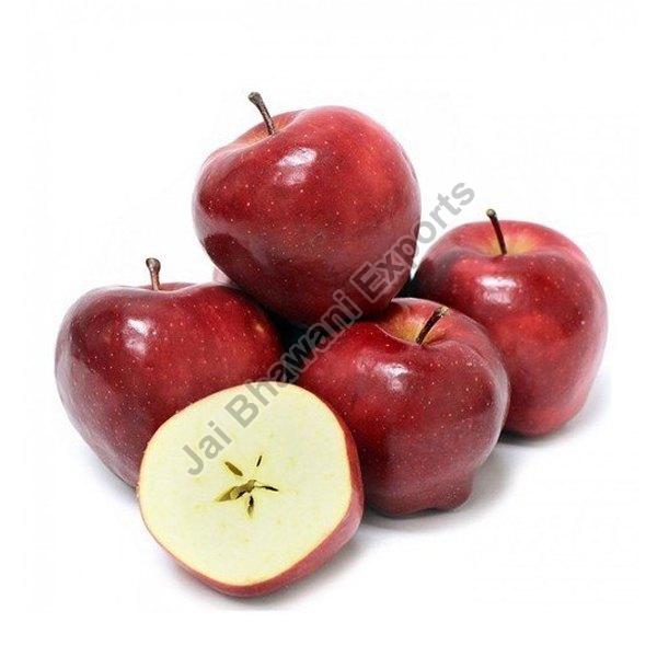 Organic A Grade Apple, for Human Consumption, Packaging Type : Paper Box