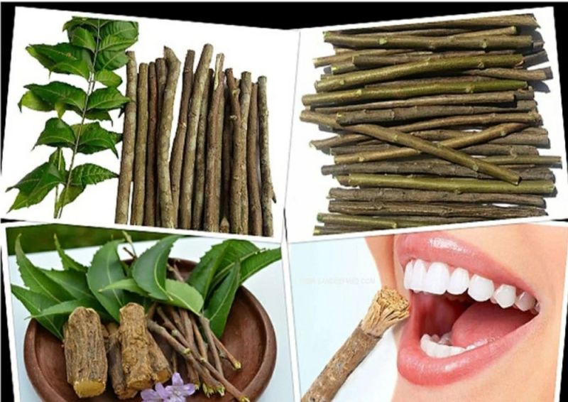 NEEM TEETH CLEANING TWIG