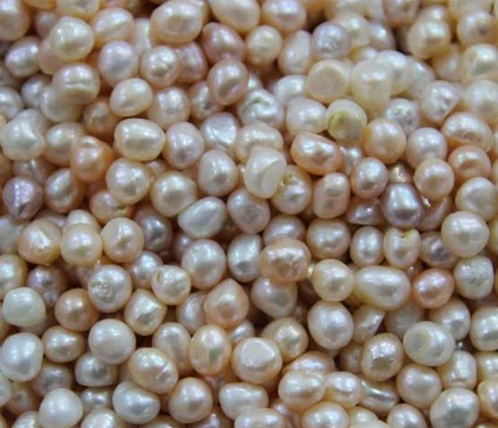 freshwater pearl