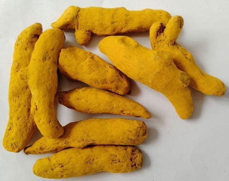 Erode Turmeric Finger