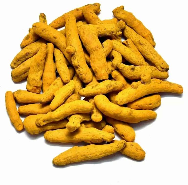 Yellow Whole Salem Turmeric Finger, for Cooking, Shelf Life : 6 Month