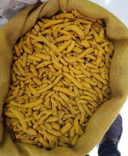 Yellow Whole Single Polished Turmeric Finger, for Cooking, Shelf Life : 6 Month