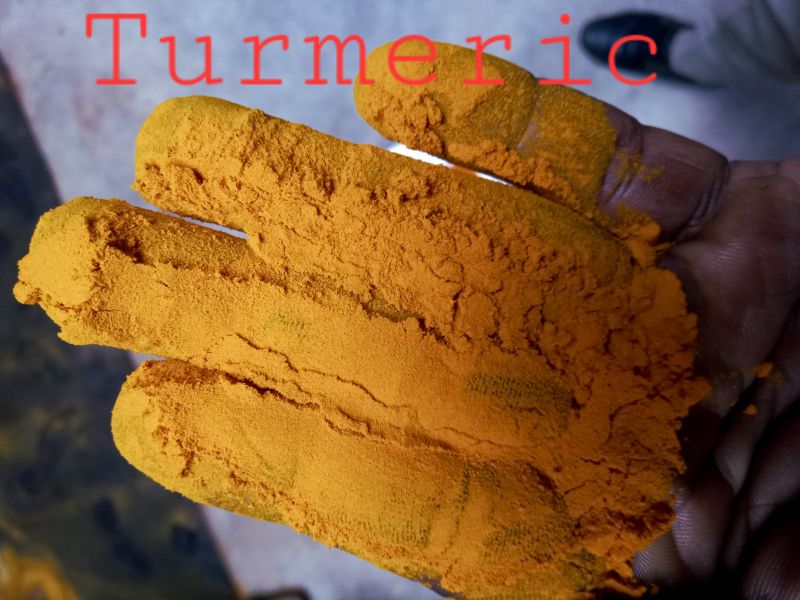 Yellow Organic turmeric powder, Purity : 100%