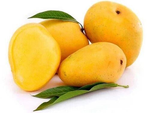 Natural Fresh Banganapalle Mango, Packaging Size : 10 Kg