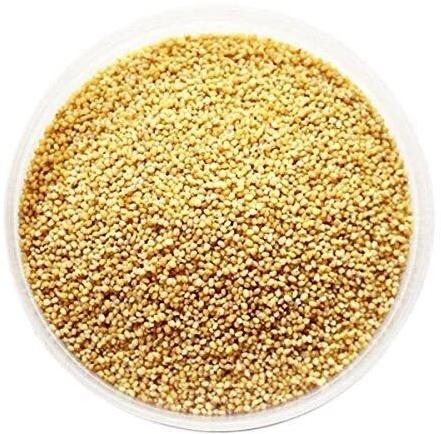 Natural Foxtail Millet Seeds