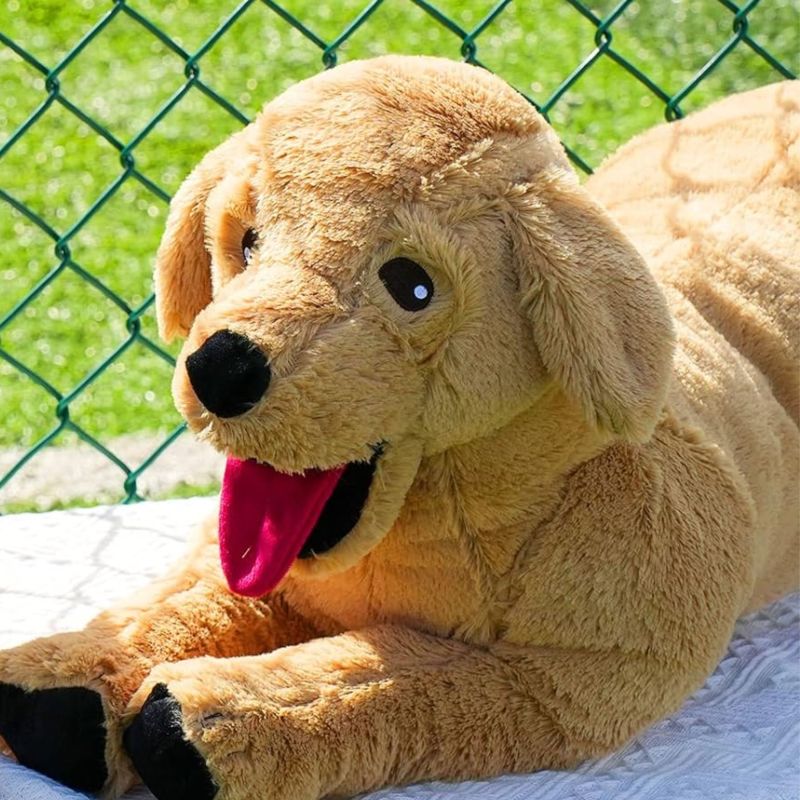 Kiddoglee Peach Rabbit fur Labrador Dog Soft Toy, Shelf Life : Eternal ...