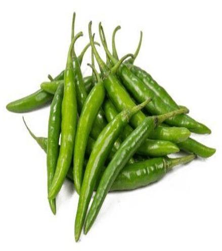 Green Chillie, for Cooking, Quality Available : A Grade