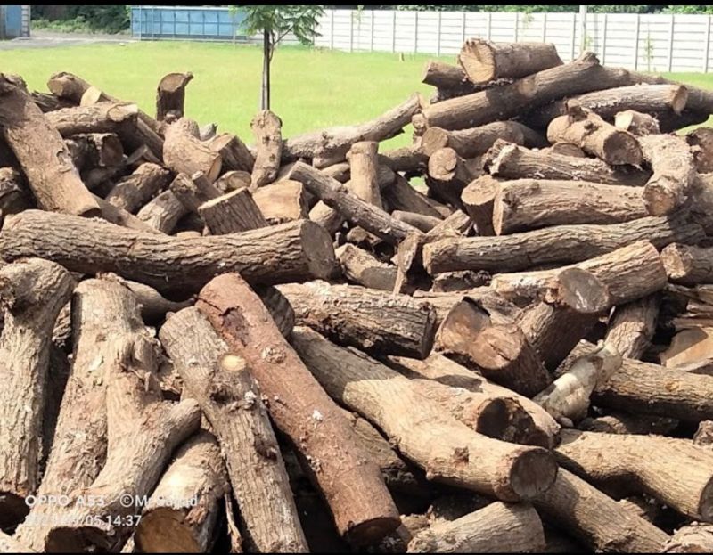 Industrial Firewood