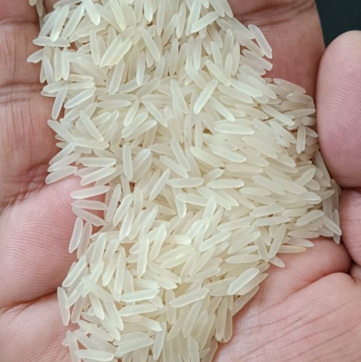 White Hard Organic 1121 basmati rice, for Cooking, Variety : Long Grain ...