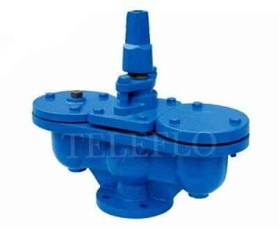DAV-100 Double Acting Air Release Valve