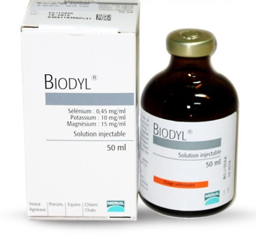 Biodyl 50ml Pre-race Stimulant