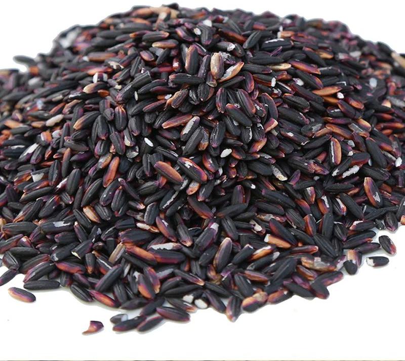 Soft Natural Black Rice, for Cooking, Shelf Life : 18months