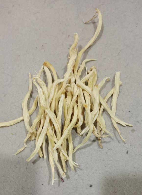 White Dried shatavari roots, for Powders, Capsules Etc, Purity : 98%