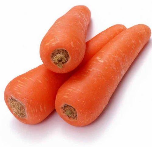 Fresh Baby Carrot, for Human Consumption, Packaging Type : Gunny Bags