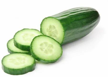 Fresh Cucumber, for Human Consumption, Packaging Type : Gunny Bag