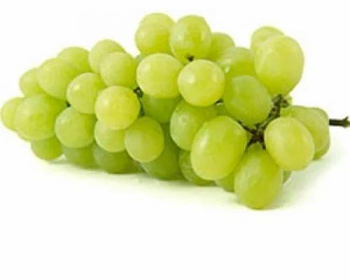 Green Natural Fresh Grapes, for Human Consumption, Certification : FSSAI Certified