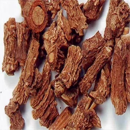 Organic Revand Chini Root, Style : Dried