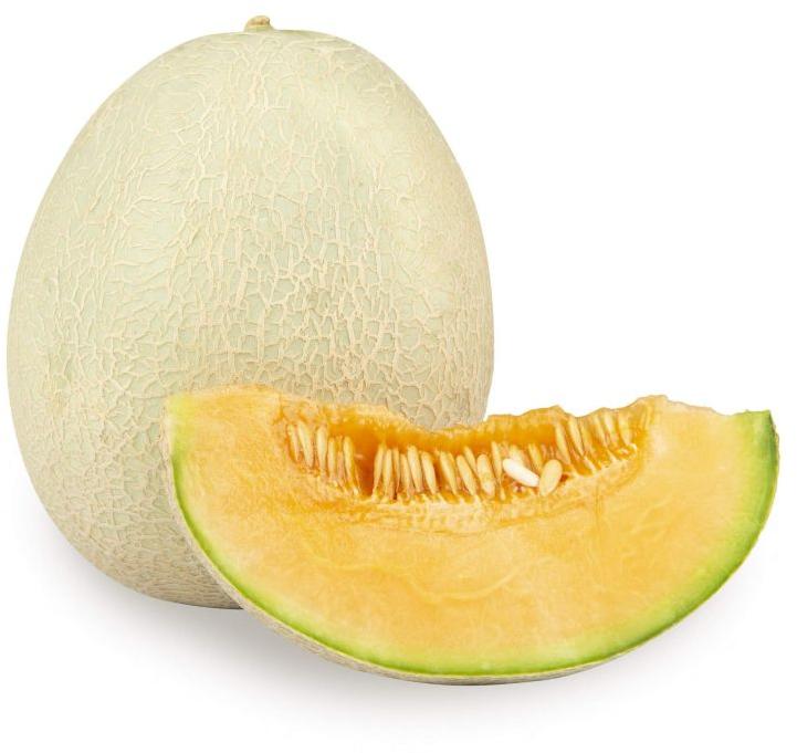 Creamy Organic Fresh Muskmelon, for Human Consumption, Shelf Life : 10 Days