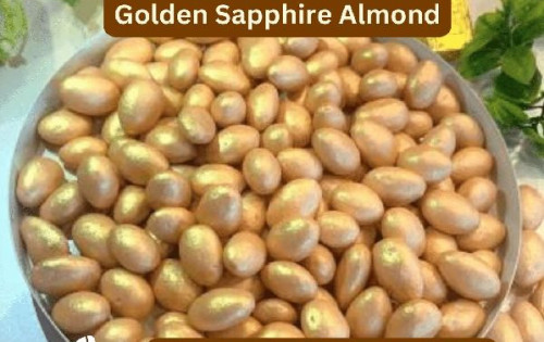 Food Nutra 1kg Golden Sapphire Almond, Taste : Light Sweet