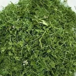 Green Leaf Freeze Dried Coriander, for Skin Product Use, Packaging Type : Pp Bags