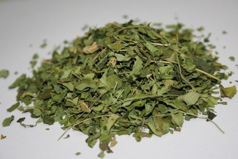 Green Freeze Dried Drumstick Leaves, for Skin Product Use, Packaging Type : Pp Bags