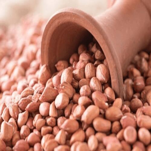 Natural groundnut seeds, for Cooking, Food, Purity : 99%