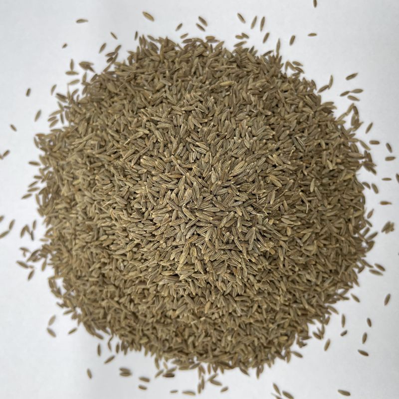 Brown Cumin Seeds, Packaging Type : Plastic Packet