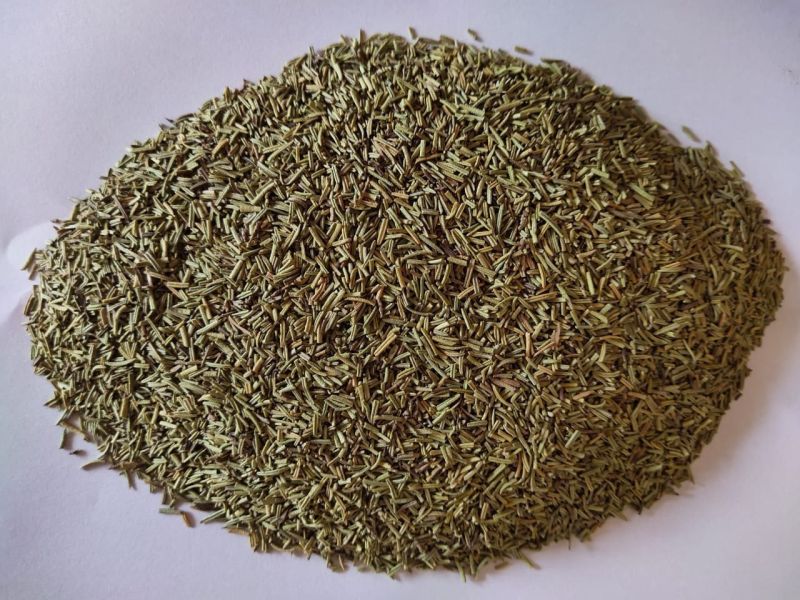 Green Natural Dried Rosemary Leaves, Feature : Anti-depressant, Liver Detoxifier