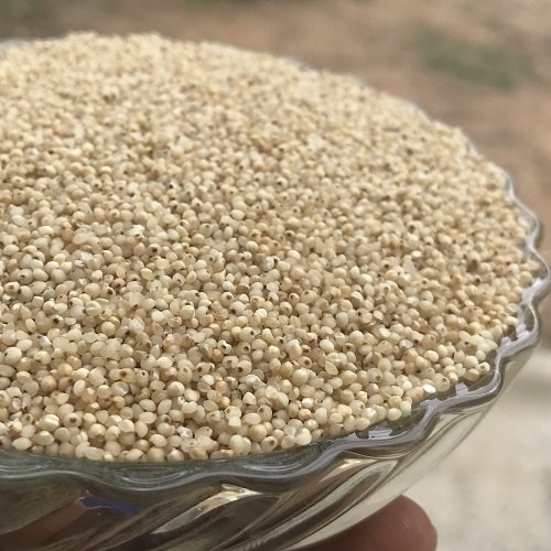 Seeds Barnyard Millet, for Cooking, Shelf Life : 6 Months