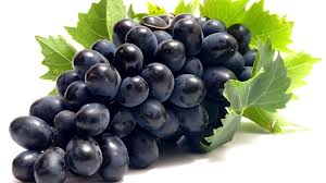 Fresh Black Grapes, Packaging Type : Plastic Bag