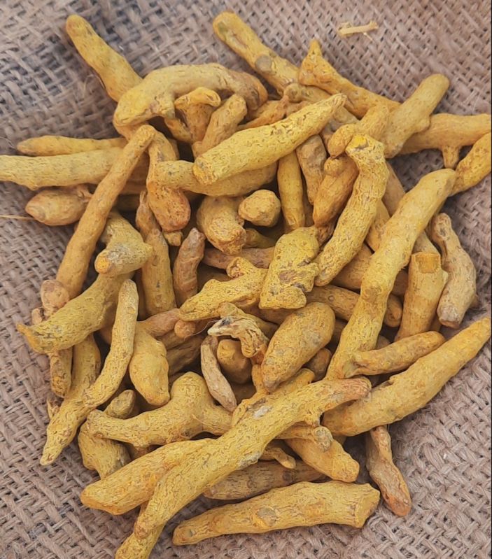 Yellow Dried Raw Turmeric Finger, for Spices, Packaging Size : 20 kg