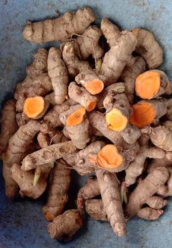 Yellow Fresh Raw Turmeric Finger, for Cooking, Spices, Packaging Size : 20 kg