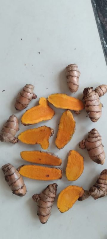 Fresh Raw Turmeric Root