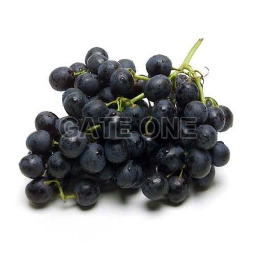 Fresh Black Grapes, Packaging Type : Plastic Bag