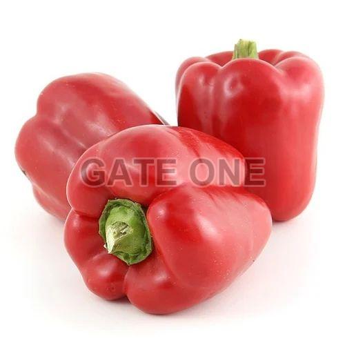 Fresh Red Capsicum, for Cooking, Packaging Type : Gunny Bag