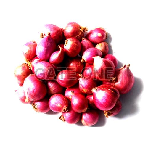 Fresh Red Small Onion